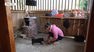 Дорис 33. Кормит домашнюю птицу, продает на рынке излишки вяленого мяса и покупает щенка.