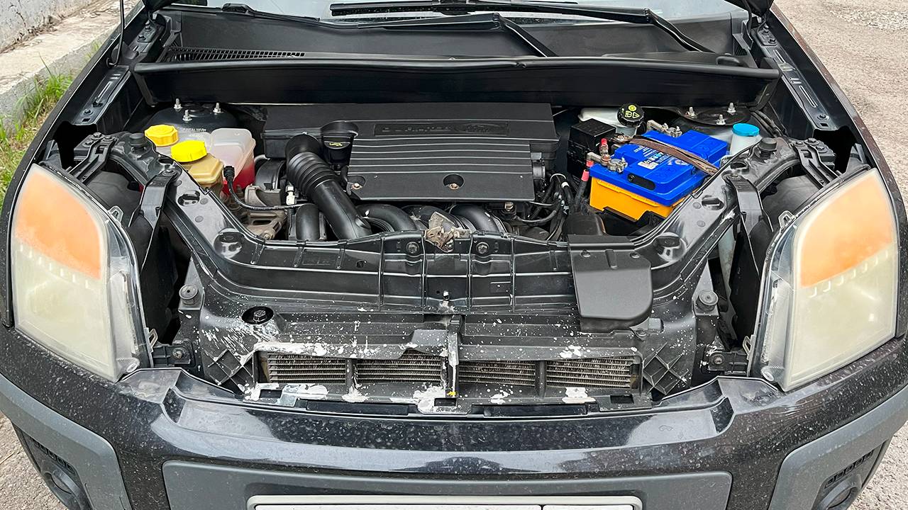 Гниют стаканы, течет коробка, чистим подкапотку. Ford Fusion смотреть онлайн