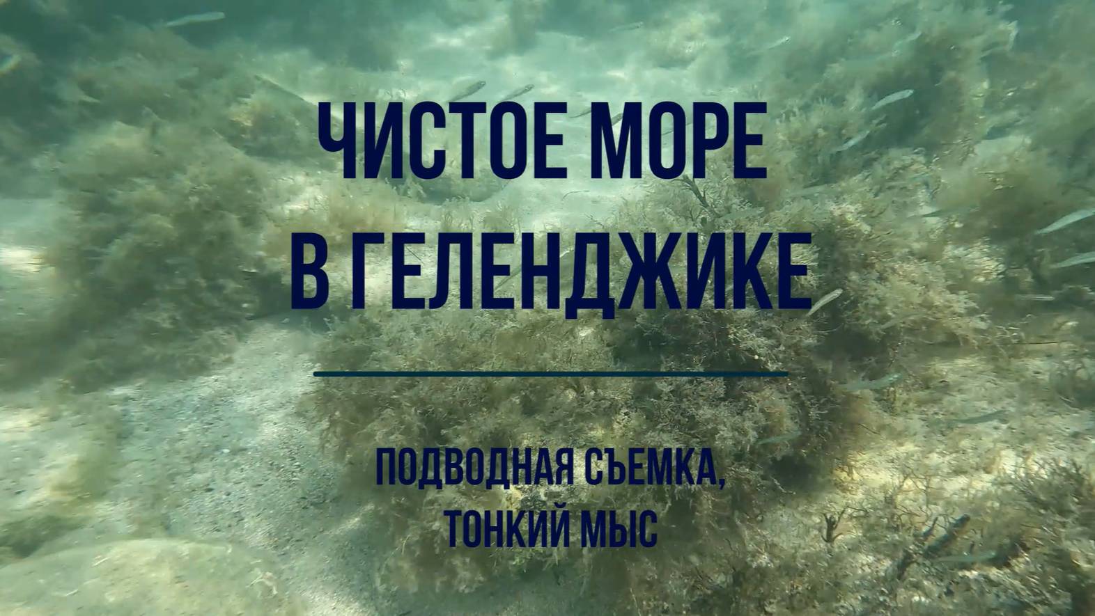 Чистое море в Геленджике, подводная съемка, Тонкий мыс, пляж ВИАМ и дикий пляж в открытом море смотреть онлайн