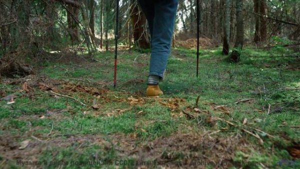 Музыка наполняет сердце полётом при каждом кадре - 13 One-Percent-Rule -- Shaolin Dub -- Preservatio