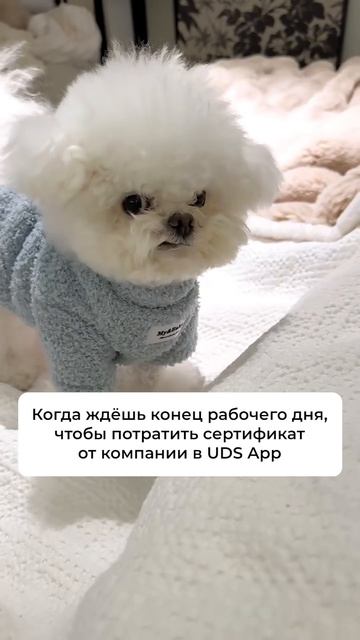 UDS App заботится о том, чтобы ваши выходные прошли выгодно 💜

#uds #мем