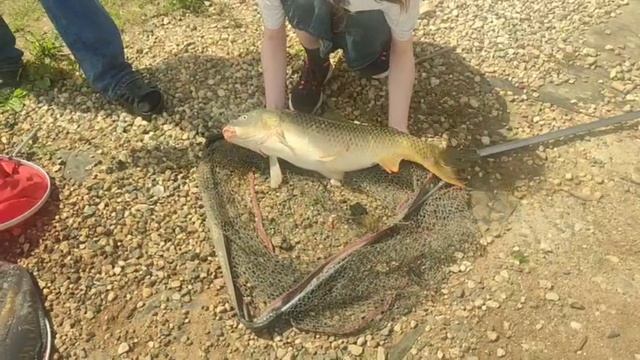 WhatsApp Video 2025-07-04 at 13.44.47 смотреть онлайн