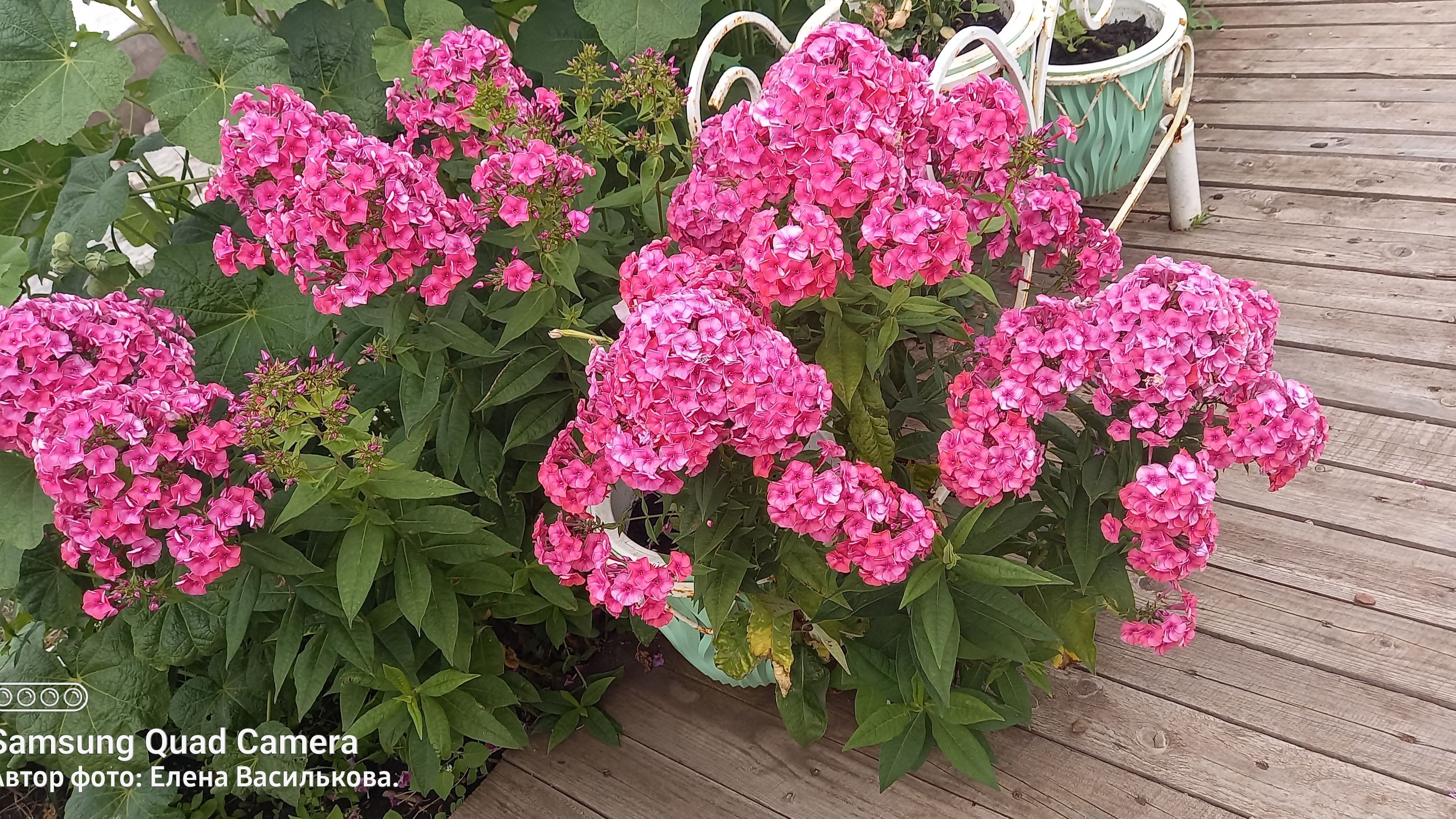 СП Вяжем летом//Отчёт 1//Вяжу носочки 🧦🧦🧦 смотреть онлайн