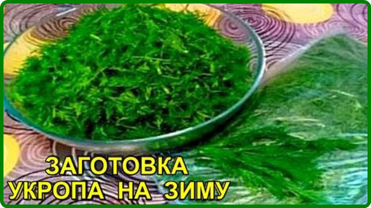 ЗАГОТОВКА УКРОПА НА ЗИМУ Аромат как будто только что сорвали с грядки Проверенный рецепт смотреть онлайн