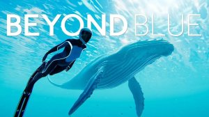 Beyond Blue ▶ Прохождение «2-я Серия»