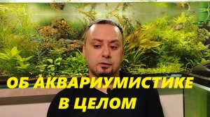 Некоторые особенности западной аквариумистики. Размышления.