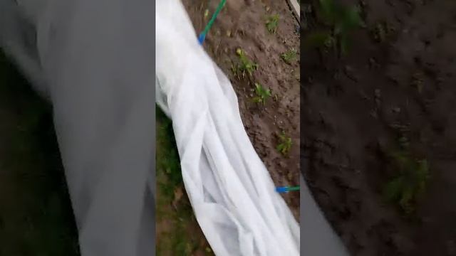 п смотреть онлайн