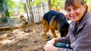 ПЕРЕЕЗД НА ЮГ НАЧАЛИ ДЕЛАТЬ ЗАБОР. ЦЕНЫ НА РЫНКЕ КРАСНОДАРСКОГО КРАЯ. Из города в деревню 832 серия