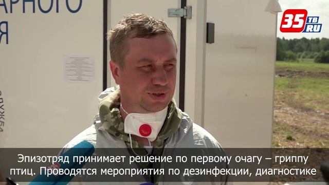 На Вологодчине прошли международные учения по борьбе с опасными заболеваниями животных смотреть онлайн