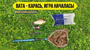 #мормышинг #спиннинг | Ловля карася на спиннинг | "ВАТНЫЙ" КАРАСЬ |
