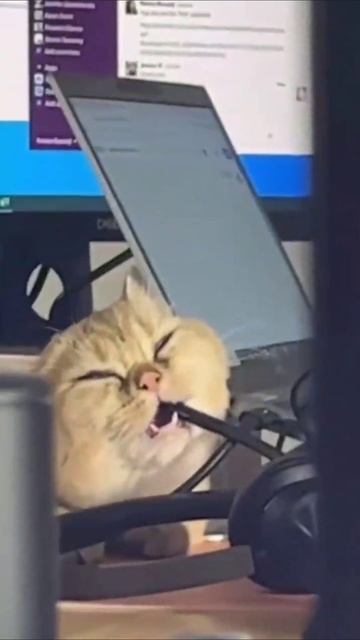 Как стать бездомным смотреть онлайн