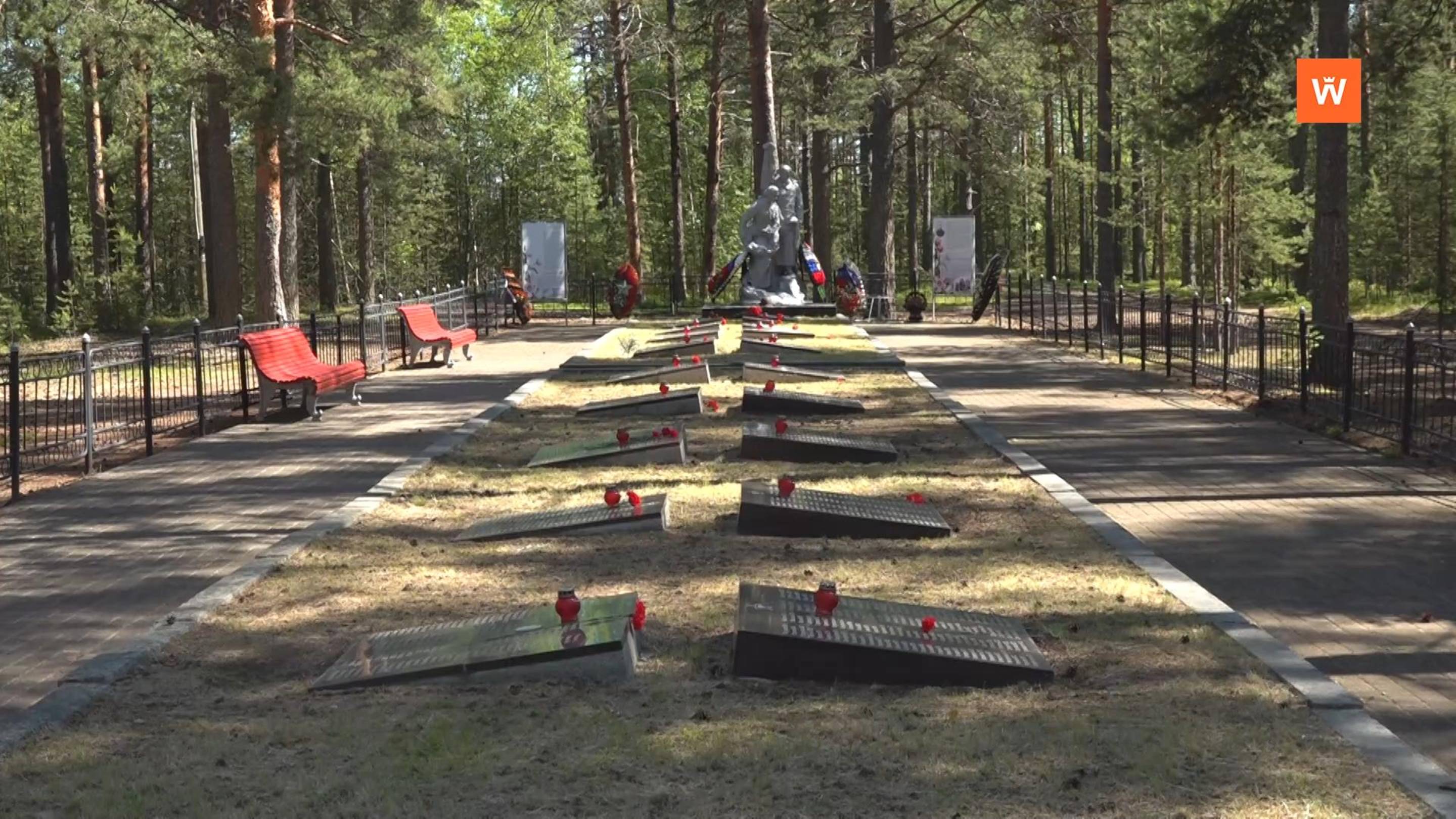 Программа «Город. Новости по-выборгски» от 3 июля 2025 года смотреть онлайн