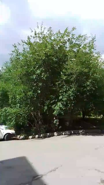 Микрорайон с малоэтажной застройкой, во дворе смотреть онлайн