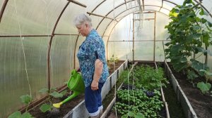 "Жизнь на пенсии".. Хроника дня - мои будни.