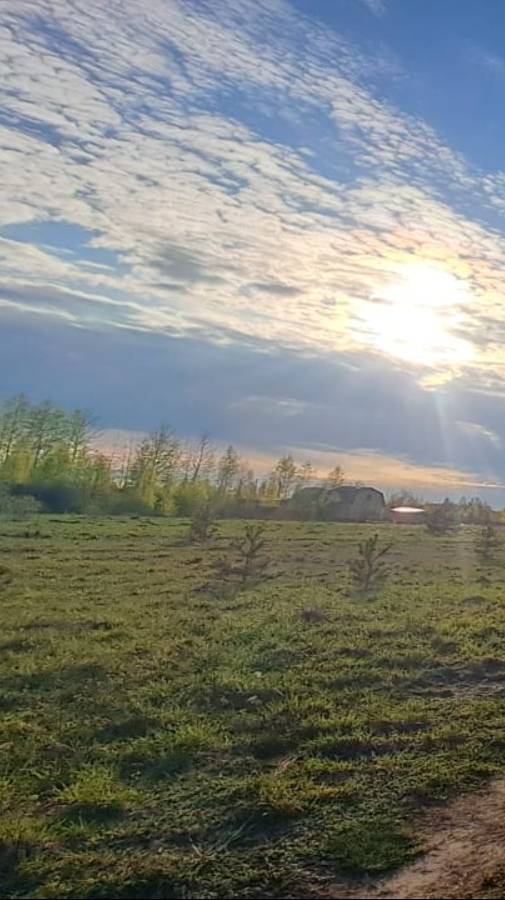 Продам/куплю Срочно Земельные участки в г.Тихвин - Супер расположение - Цена 60.000руб. за сотку