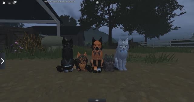 Прятки 2 часть во WCUE! Коты-Воители Roblox.(ЧИТ.ОПИС.)