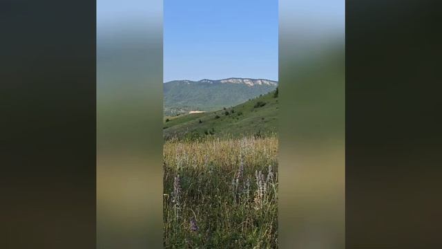 Самая Залбекова.mp4 смотреть онлайн