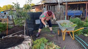 04-07-2025 Жизнь в деревне 🏡.