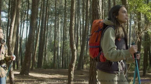 Музыка, которая ПРИВЛЕКАЕТ 'них'. - Action -- Chad Crouch -- Arps II