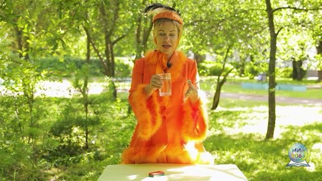 Наука в гостях у сказки 6