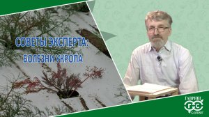 ЗАБОЛЕВАНИЯ УКРОПА