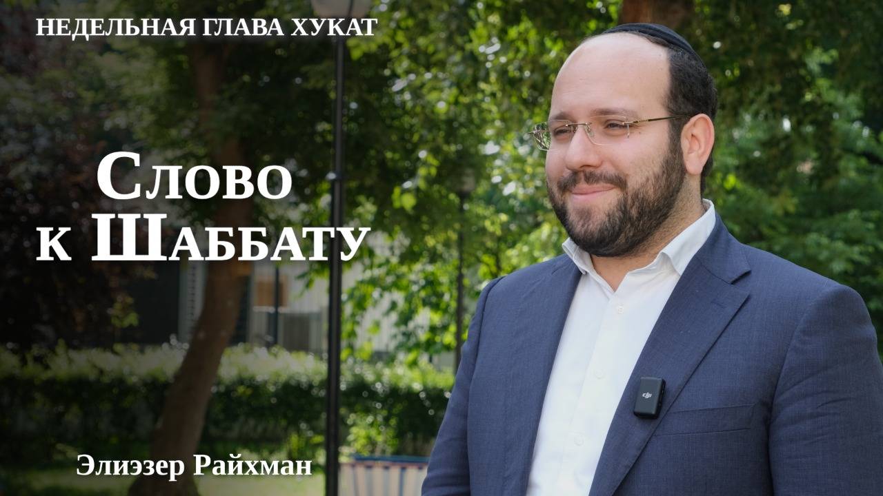 Миква и очищение: когда чистота по Торе | Слово к шаббату Корах