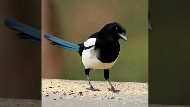 Это интересно-20