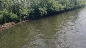 Рыбка ловится Щука Томь