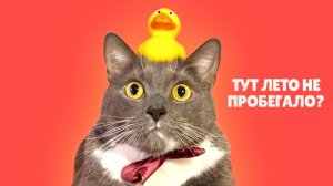 ЛОТКОВ В ПОИСКАХ ЛЕТА