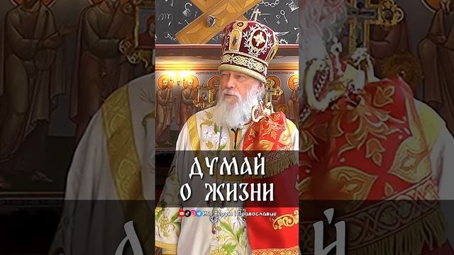 Думай о жизни   еп. Августин (Анисимов)