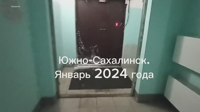 Зарисовки января из Южно-Сахалинска. После метели.mp4