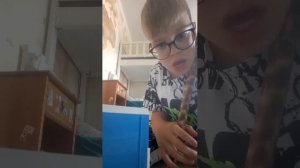 взламываем сейф, в котором находится канал миксик, миксик, пожалуйста, посмотри.