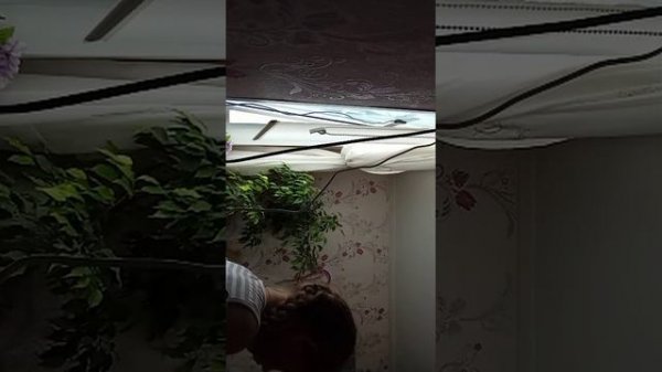 оаоаоалалао