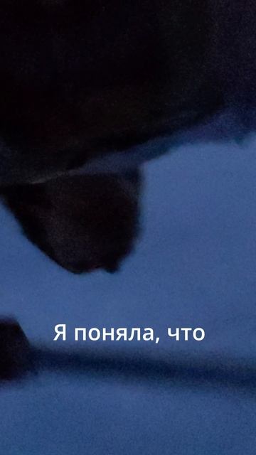 В тот вечер случилось что-то СТРАШНОЕ! смотреть онлайн