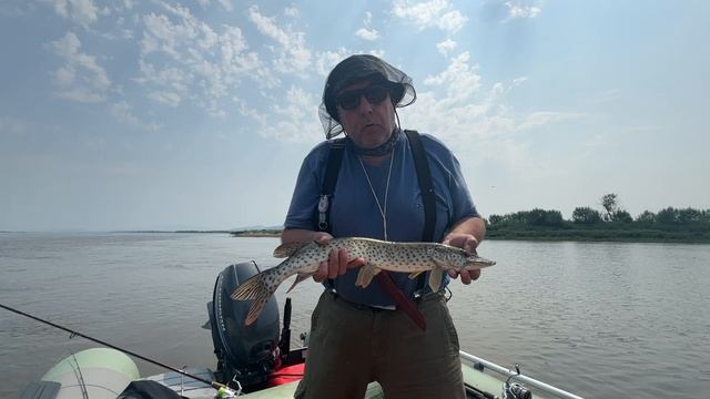 Амурская щука