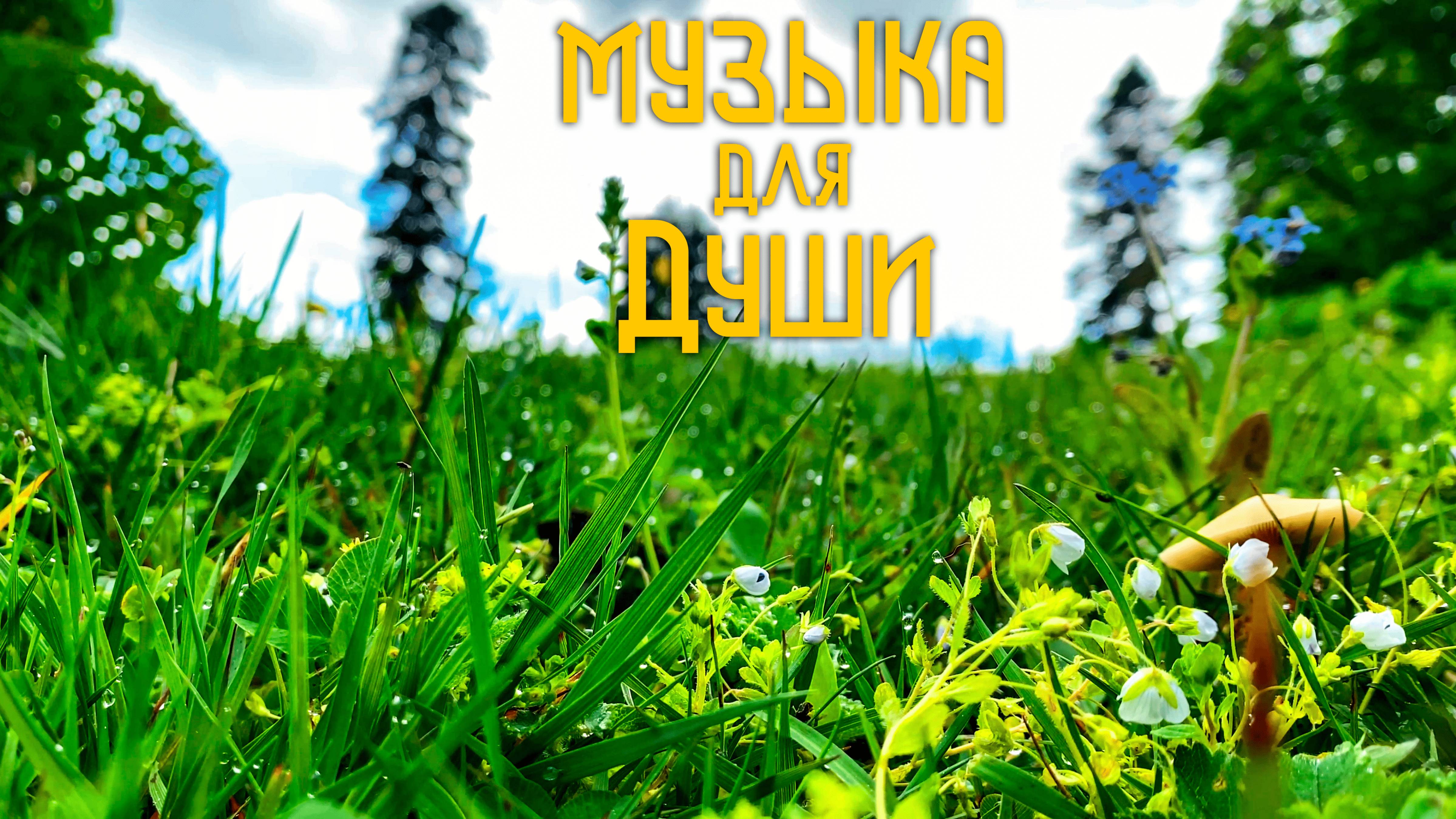 Флейта Свирель и Гусли / Этническая Музыка Души / Мир Под Ногами смотреть онлайн