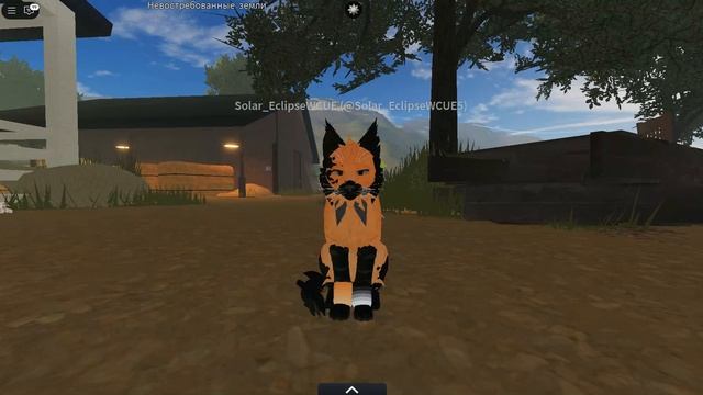 МАЛЕНЬКИЕ новости по сходке и вопрос-ответ))