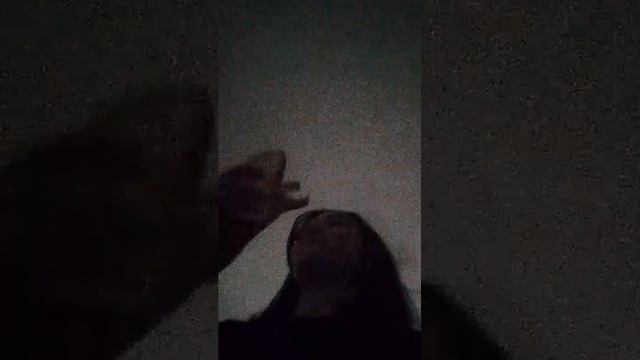 трансляция.