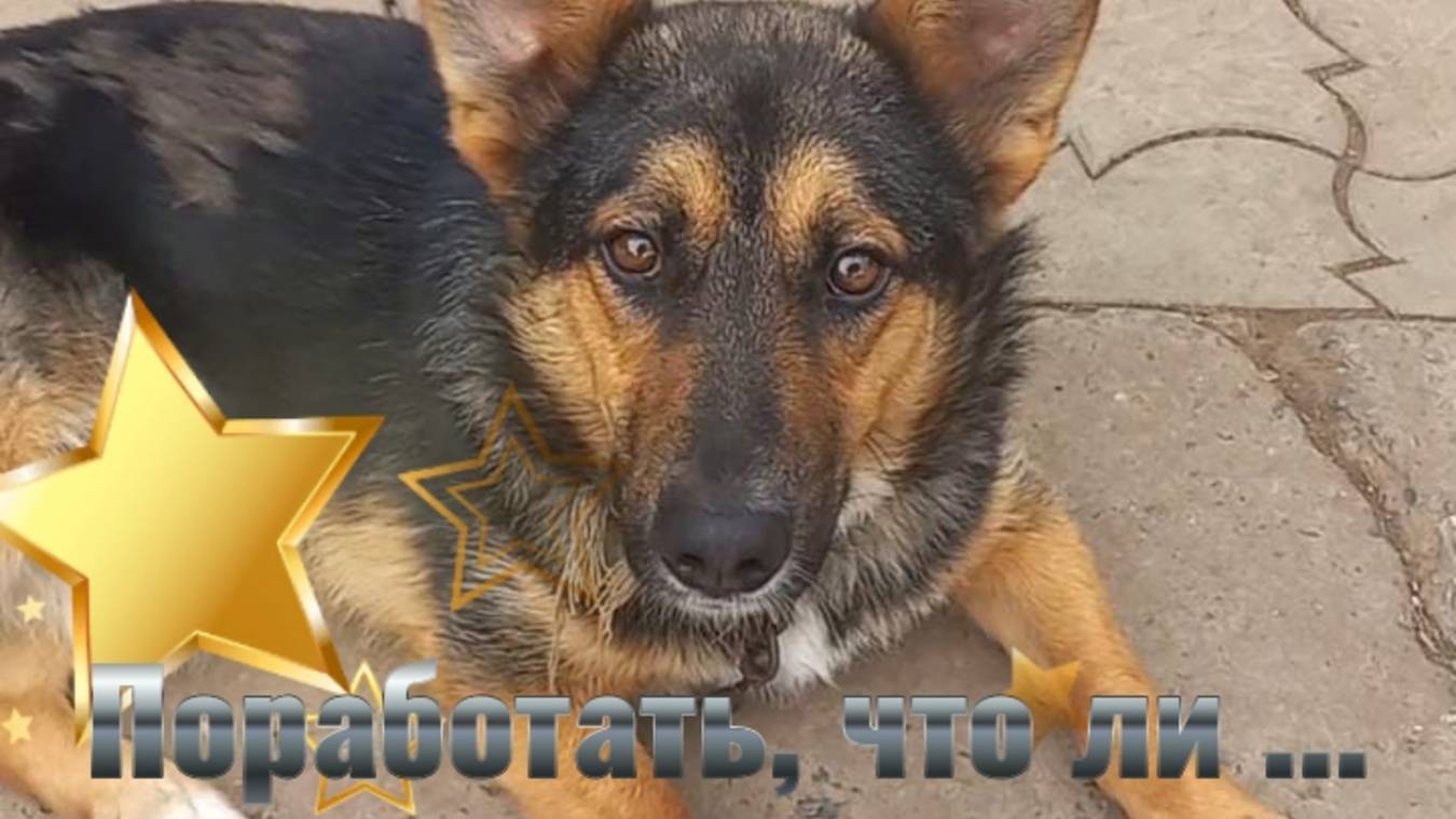 Поработать, что ли... смотреть онлайн