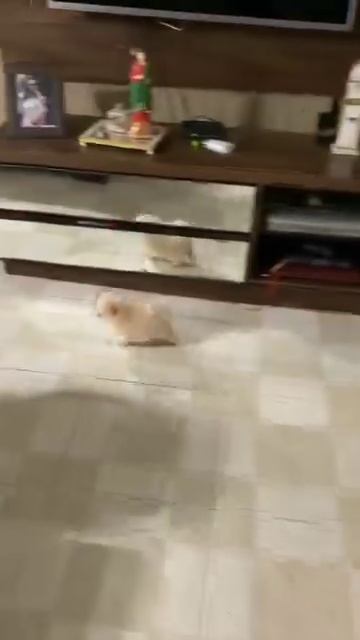 Шкода смотреть онлайн