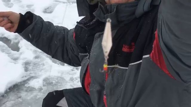 Трухин Дмитрий