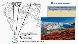 21 Чтение почвенного профиля