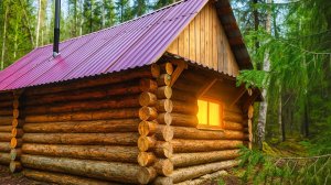 3 ДНЯ В ИЗБЕ С ЛАЙКОЙ. Ищем Глухарей на Току. ФотоОхота из Скрадка.