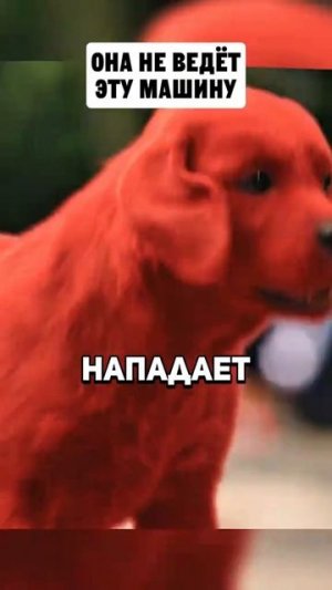 ФИЛЬМ НА ВЕЧЕР !