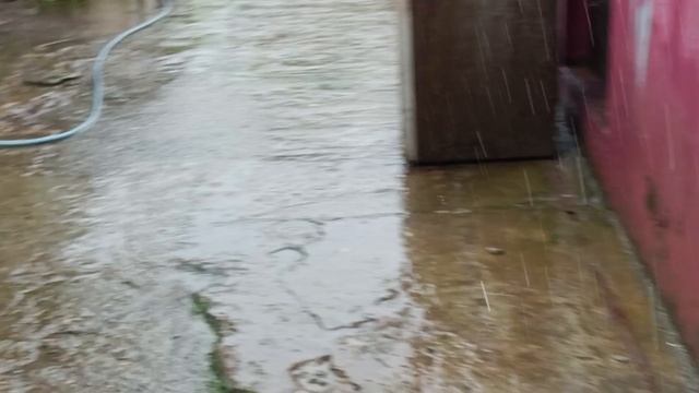 Дожди продолжаются. Динская. 03.07.25. смотреть онлайн