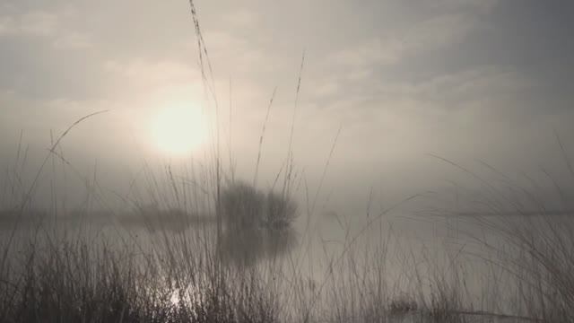 туман- туманище смотреть онлайн