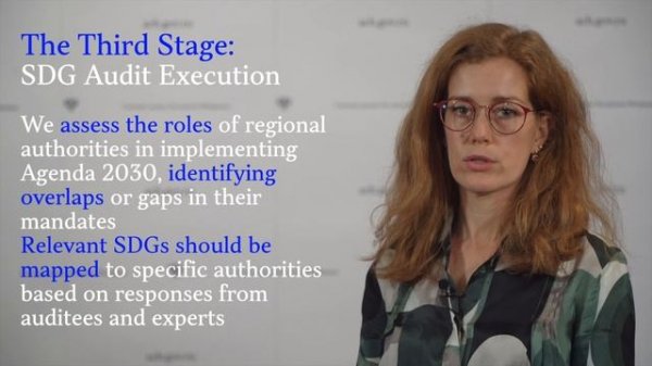 Lesson 2. Practical Guidance on Sustainable Development Goals Audit at the Regional Level