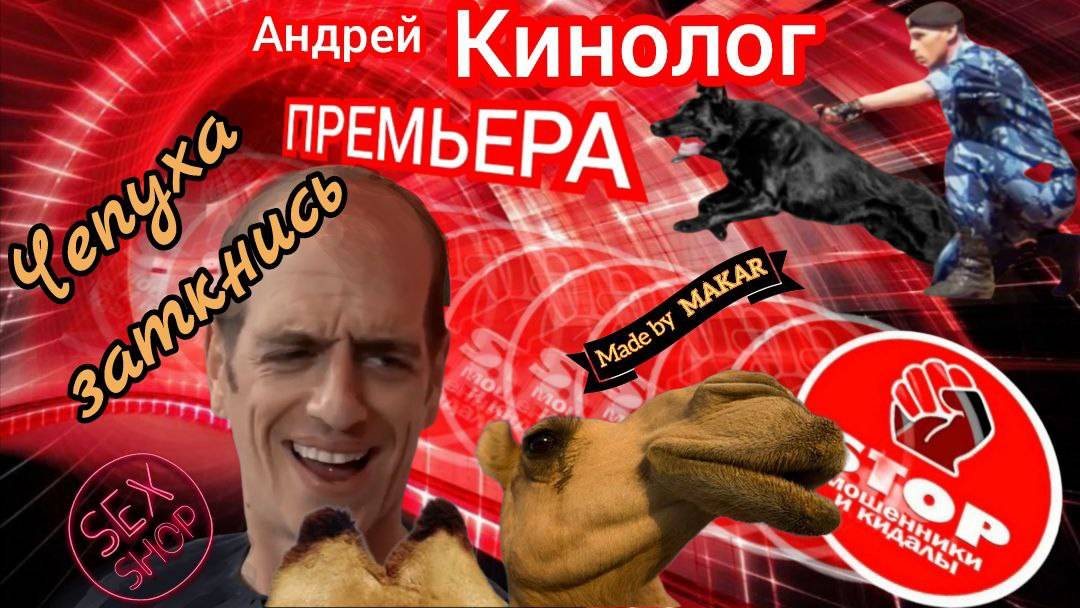 Как можно правильно организовать вынос мозга телефонному звонилке_ Автор Кинолог. смотреть онлайн