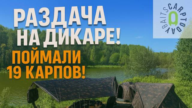 Поймали 19 карпов на Дикаре !