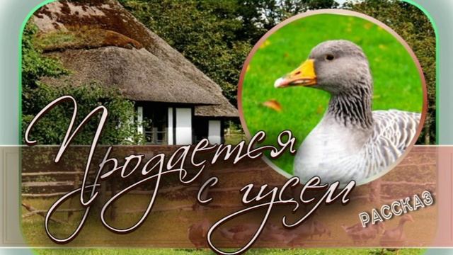 📗 "Продается с гусем" ~ РАССКАЗ Христианский 👧☀️ ДЕТСКАЯ РУБРИКА 🟢 АУДИОРАССКАЗ смотреть онлайн